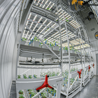 3 Questions to Ask Before Selecting Your Vertical Farming System